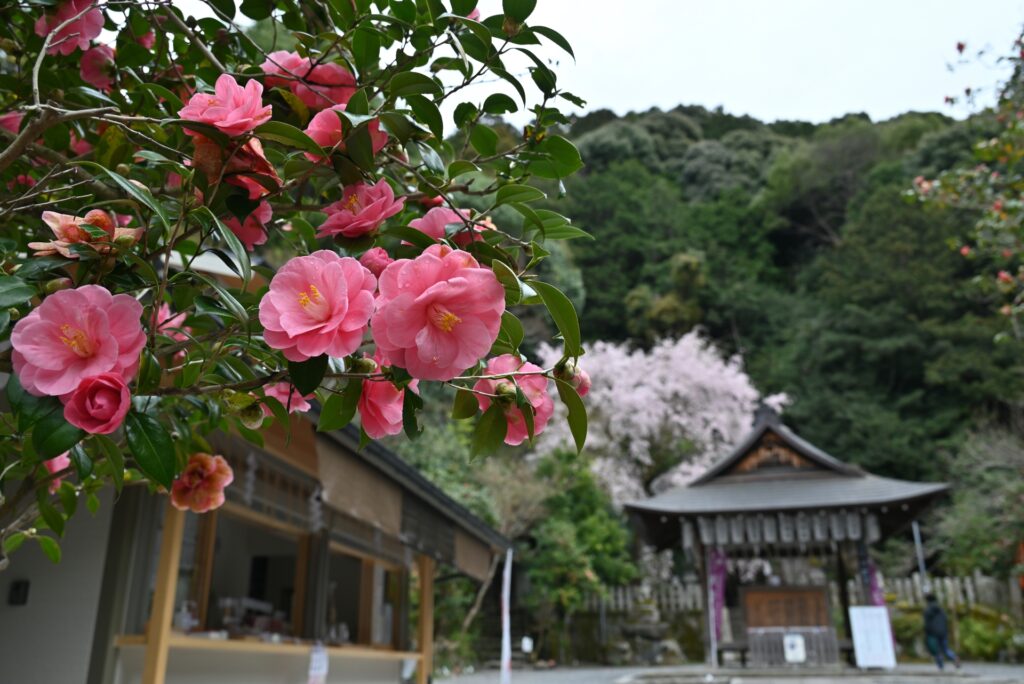 大豊神社の概要